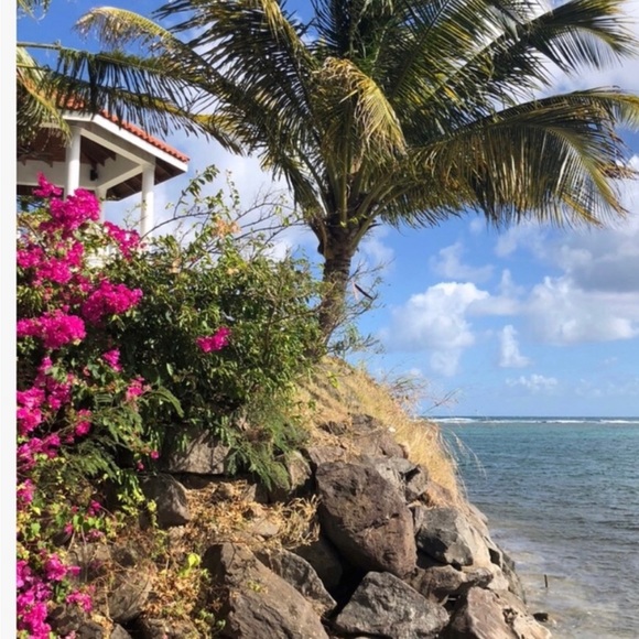 SORRY ,MY CLOSET IS CLOSING IN A MONTH - Picture 8 of 17